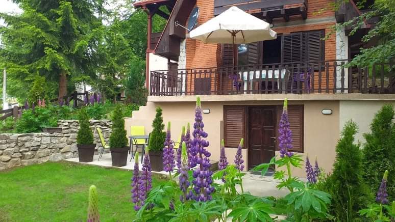 Apartmani Damjan – Apartmani Damjan, fotografija 1