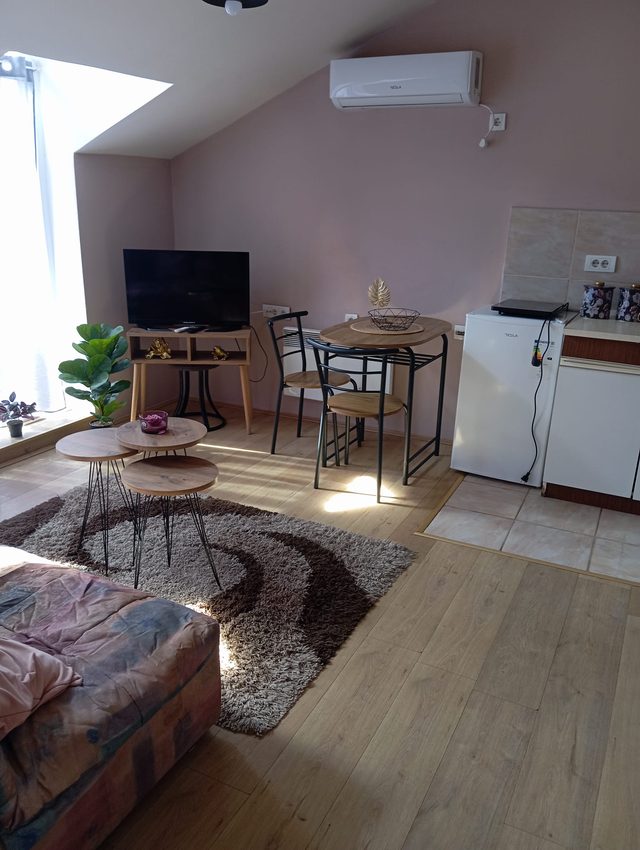 Apartmani Brus Centar Kop – Manji apartman (dvoetažni), fotografija 1