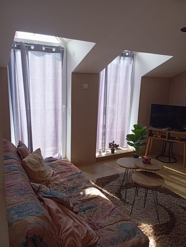 Apartmani Brus Centar Kop – Manji apartman (dvoetažni), fotografija 2