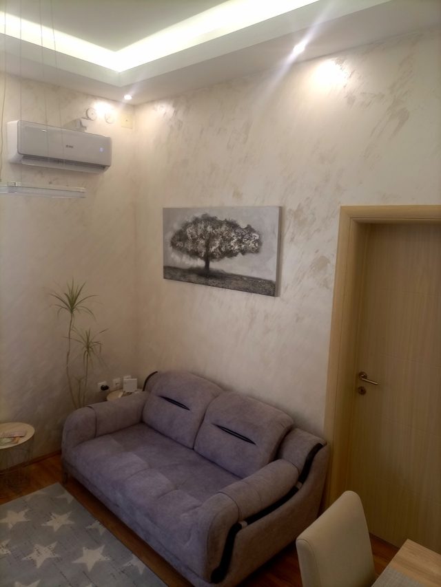 Stan na dan Grof Čačak – Apartman Grof, fotografija 2